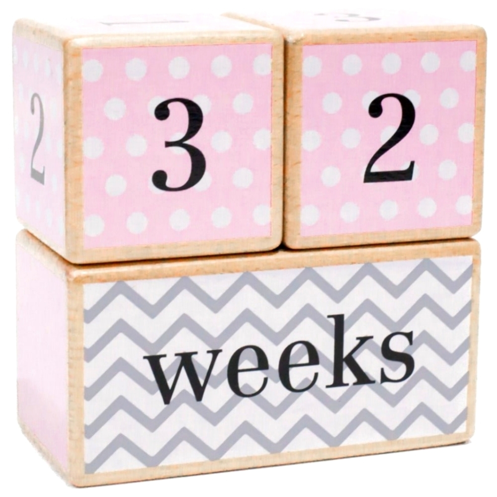 Lovely Sprouts Milestone Blocks Pink